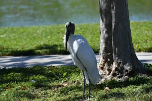 Ocala Nature Park image