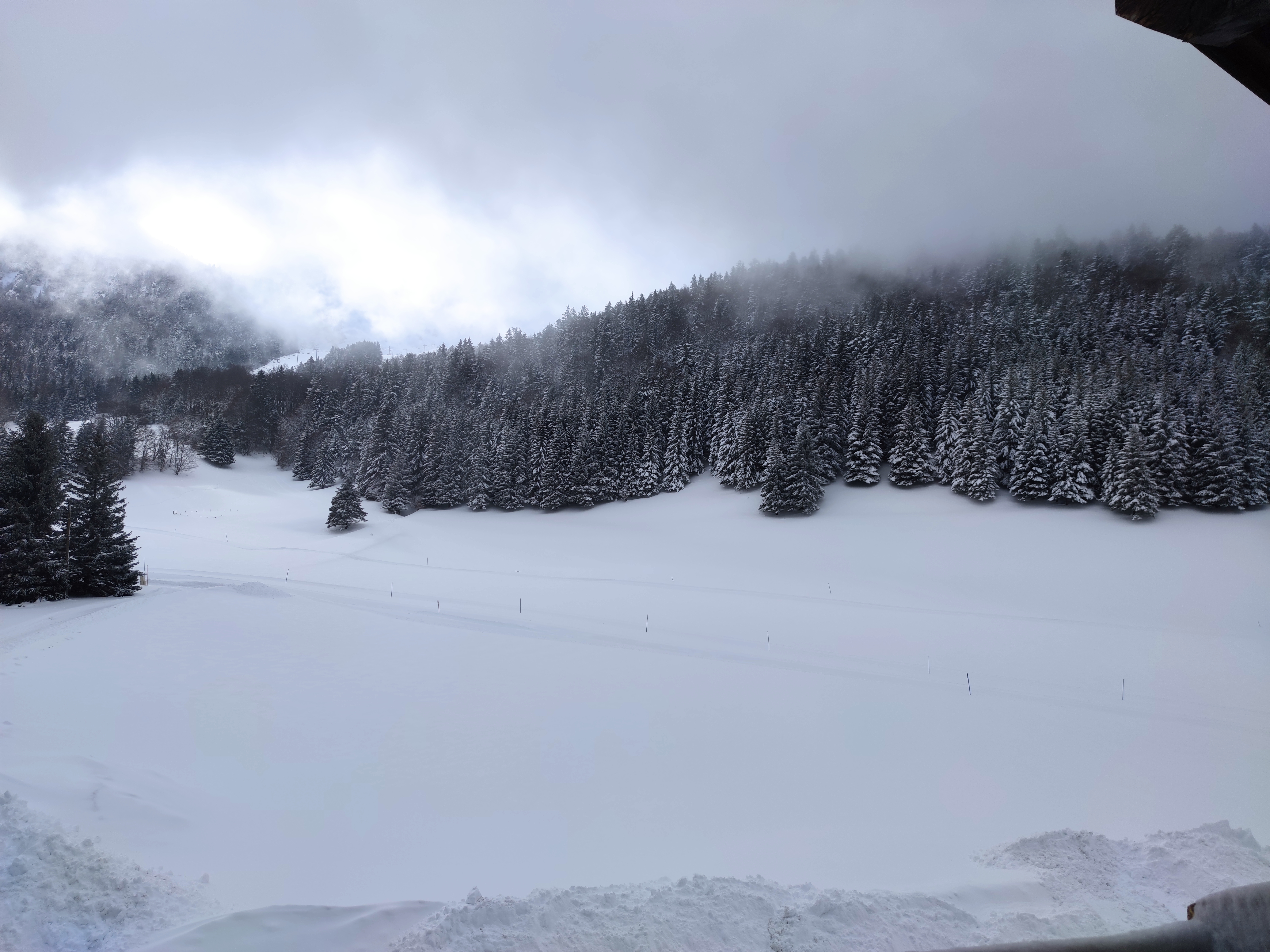 Photo n° 12 de l'avis de Pierre. fait le 11/01/2022 à 17:11