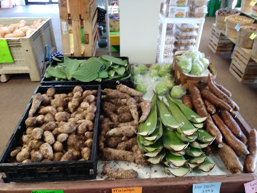 Grocery Store «Puzyckis market», reviews and photos, 15690-15698 Bedford Cir W, Clearwater, FL 33764, USA