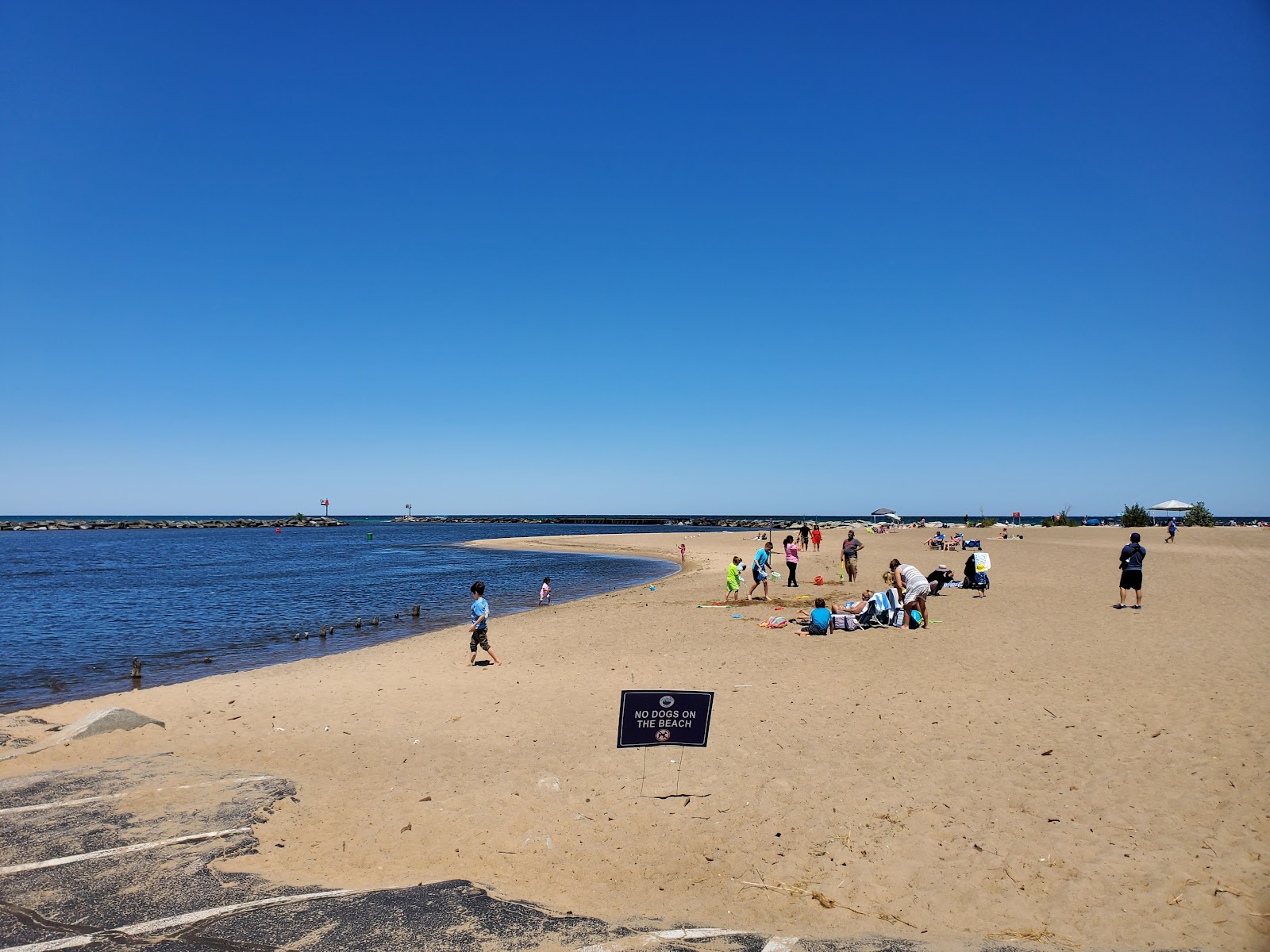 New Buffalo Beach的照片 带有长直海岸