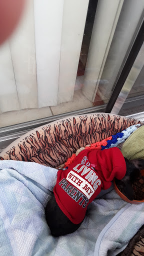 Pet Supply Store «Petco Animal Supplies», reviews and photos, 2784 W Peoria Ave, Phoenix, AZ 85029, USA