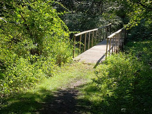 Great Flats Nature Trail