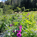 Photo n°1 de l'avis de emanuela.e fait le 13/07/2020 à 21:05 sur le  Agriturismo Le Zercole à Pranolz