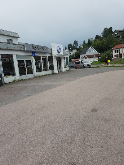 car-dealer