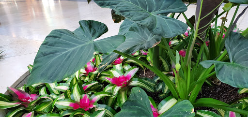 Observatory «Skywalk Observatory», reviews and photos, 800 Boylston St, Boston, MA 02199, USA