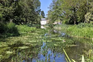 Stotfold Mill Meadows image