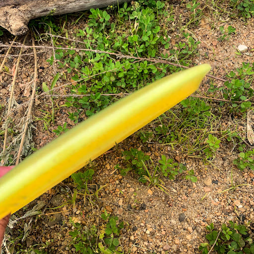 Sporting Goods Store «Gateway Disc Sports», reviews and photos, 10855 Metro Ct, Maryland Heights, MO 63043, USA