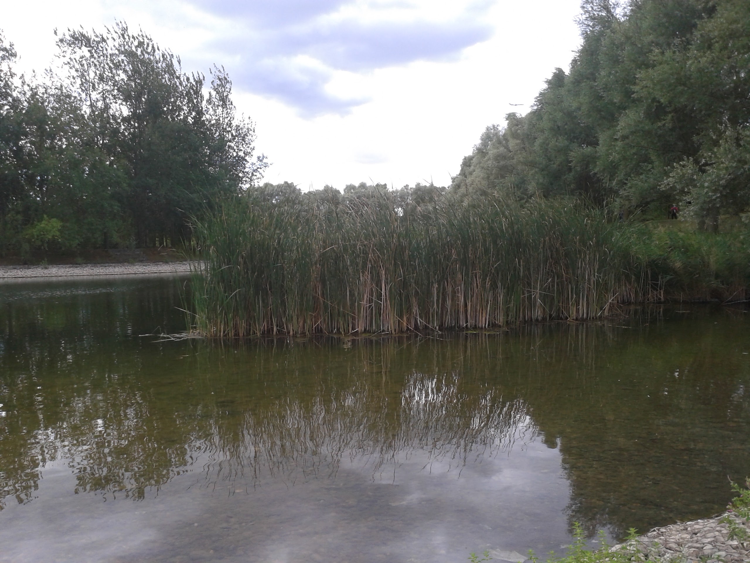 Photo n° 4 de l'avis de Eric.u fait le 15/09/2016 à 17:55