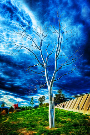 Park «Olympic Sculpture Park», reviews and photos, 2901 Western Ave, Seattle, WA 98121, USA