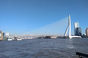 Rotterdam, Veer Erasmusbrug image