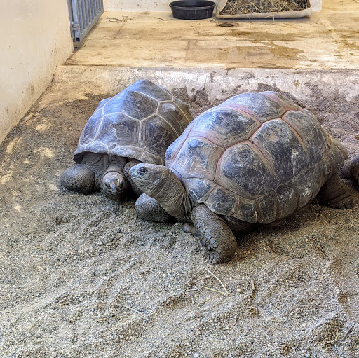 Zoo «Blank Park Zoo», reviews and photos, 7401 SW 9th St, Des Moines, IA 50315, USA