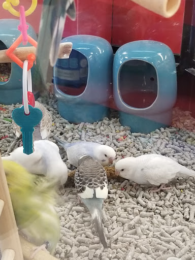 Pet Supply Store «Petco Animal Supplies», reviews and photos, 990 Brook Forest Ave, Shorewood, IL 60431, USA