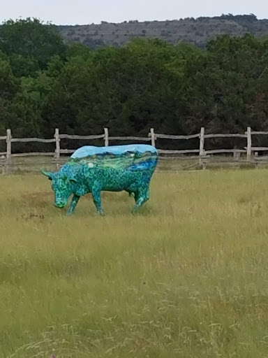 Wedding Venue «Old Glory Ranch», reviews and photos, 3633 River Rd, Wimberley, TX 78676, USA