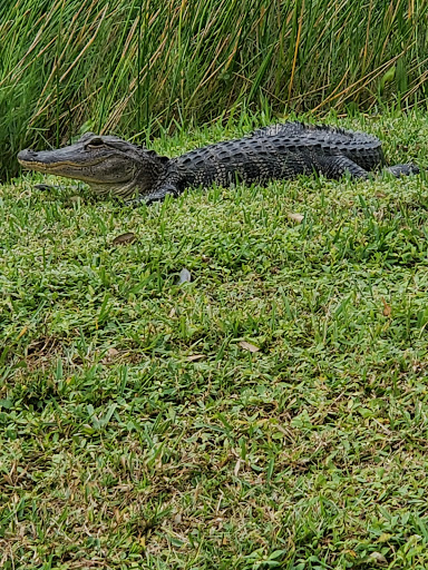 Park «PGA National Park», reviews and photos, 1 Ryder Cup Blvd, Palm Beach Gardens, FL 33418, USA