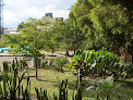 Beautiful parks in Medellin