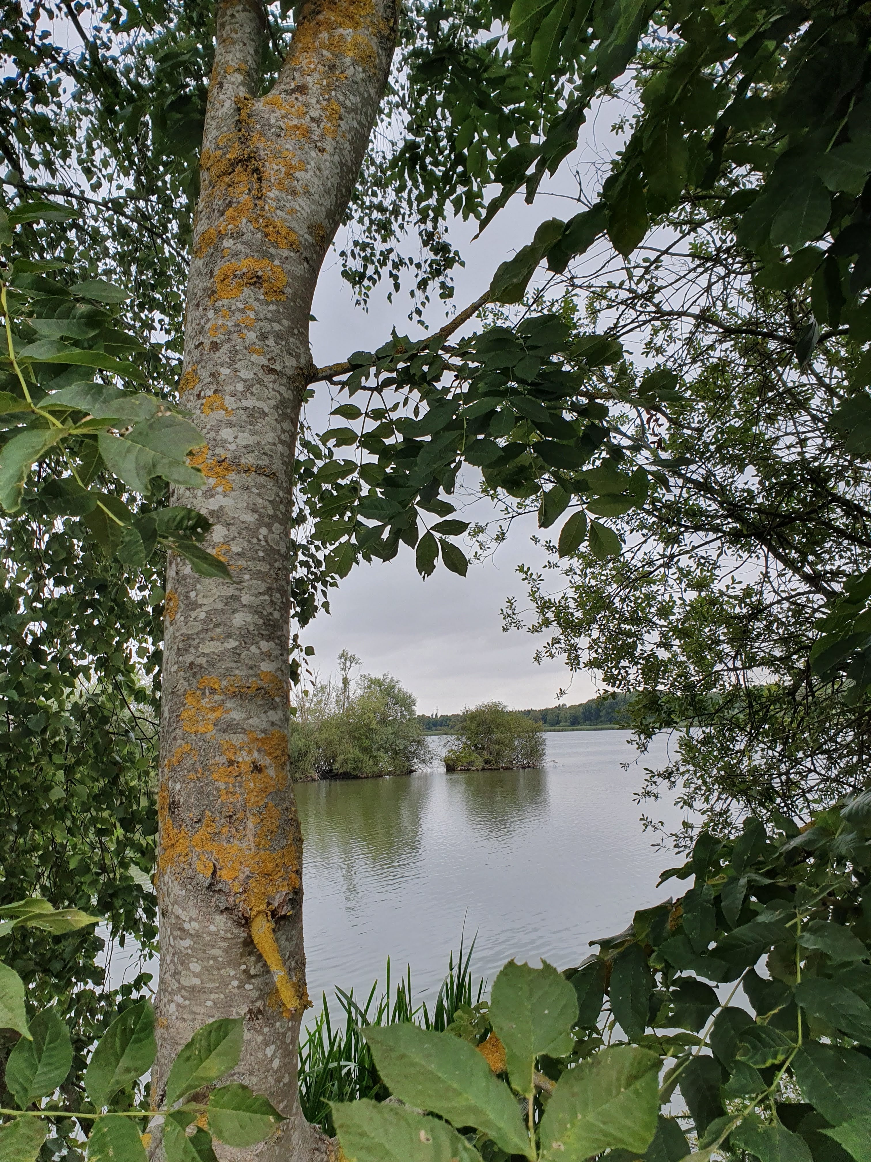 Photo n° 27 de l'avis de Liliane.o fait le 17/08/2019 à 10:37