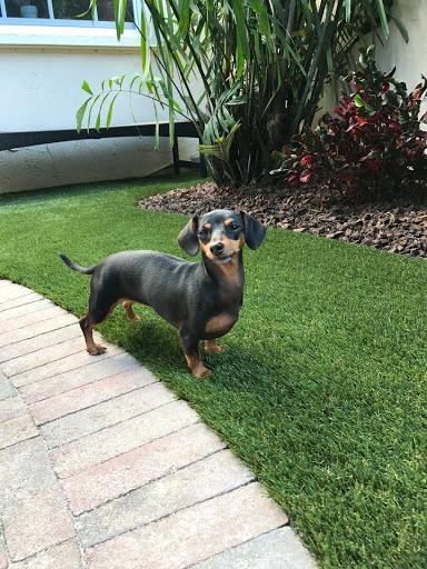 Home Improvement Store «Collier True Value Hardware & Synthetic YardScapes», reviews and photos, 1970 NE 45th St, Oakland Park, FL 33308, USA