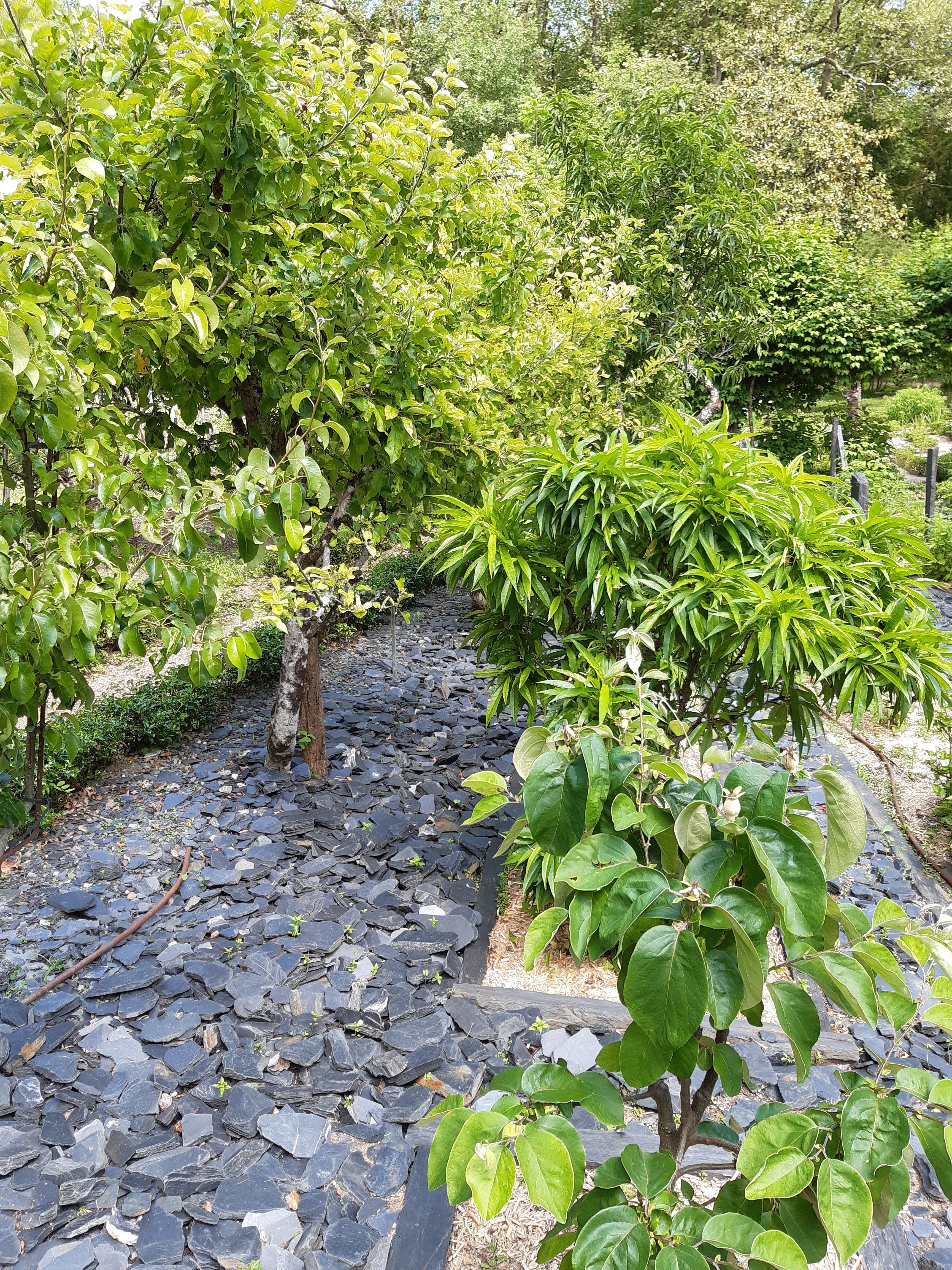 Photo n° 31 de l'avis de Patrice.a fait le 13/06/2021 à 16:03