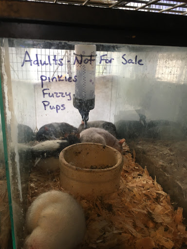 Pet Store «Animal House», reviews and photos, 646 SW 4th St, Corvallis, OR 97333, USA
