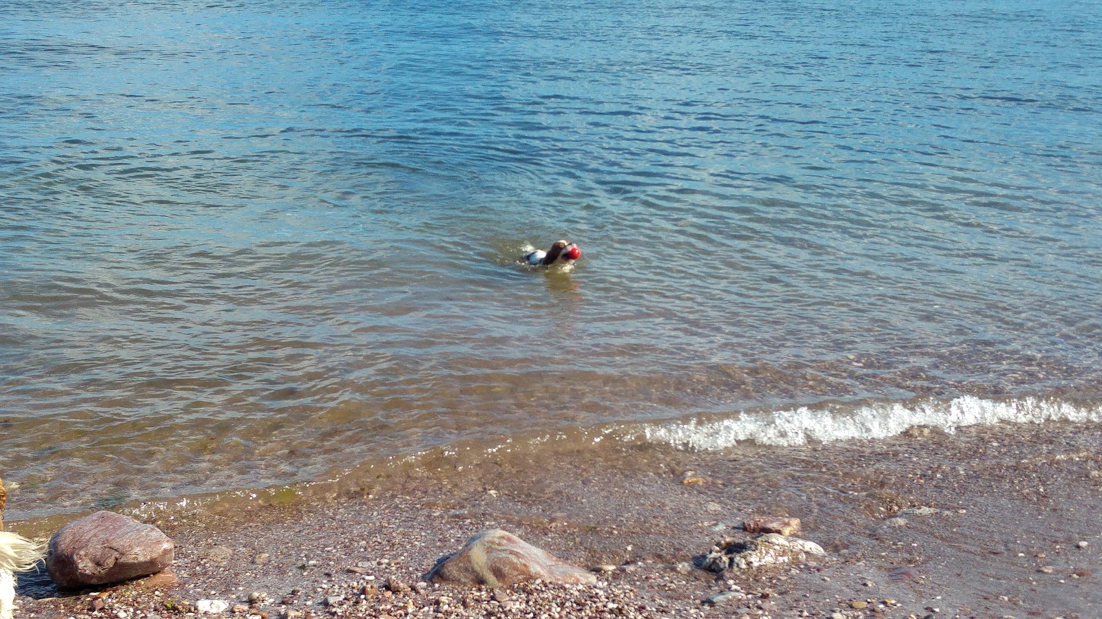 Foto af Oyster Cove og bosættelsen