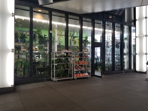 Florist «John Street Florist», reviews and photos, 100 William St, New York, NY 10038, USA