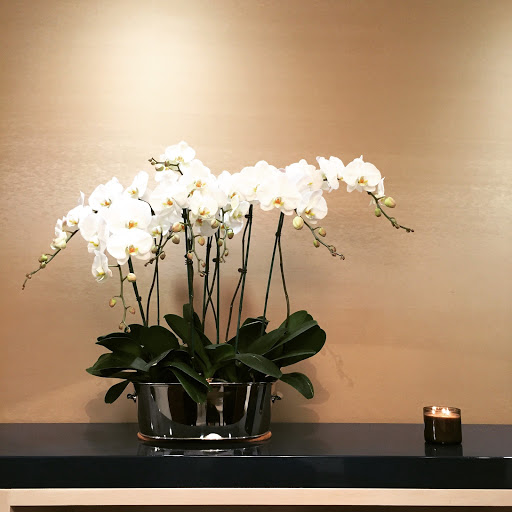 Florist «FloralArt + Decor», reviews and photos, 1414 Burlingame Ave, Burlingame, CA 94010, USA