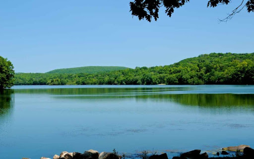 Market «Putnam Lake Market», reviews and photos, 74 Fairfield Dr, Patterson, NY 12563, USA