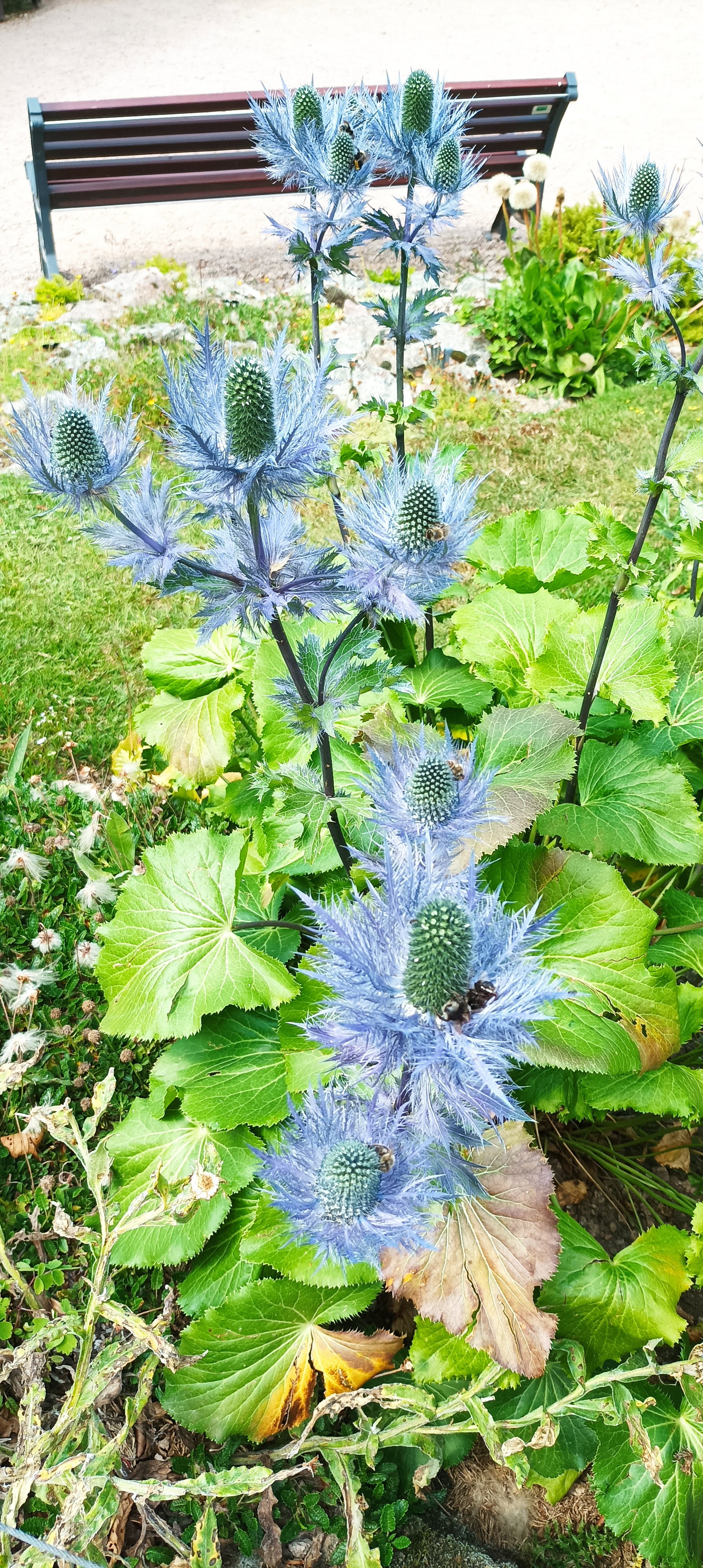 Photo n° 1 de l'avis de Stephanie.a fait le 11/08/2022 à 21:26