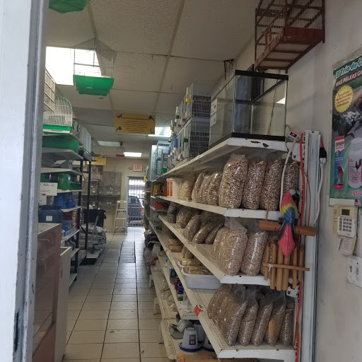 Robinsin 01 Pet Shop