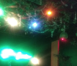 Room Garden Bar photo