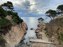 Photo de Cala n'Estasia avec un niveau de propreté de très propre