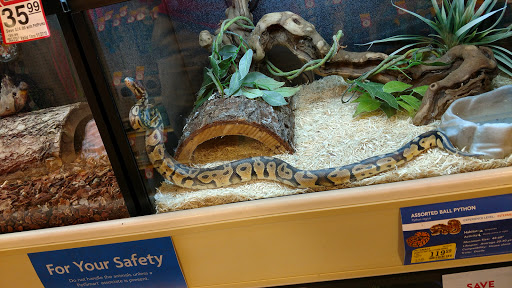 Pet Supply Store «PetSmart», reviews and photos, 4794 Jimmy Lee Smith Pkwy #108, Hiram, GA 30141, USA