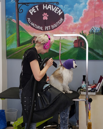 Pet Supply Store «Pet Haven», reviews and photos, 626 N Glenoaks Blvd, Burbank, CA 91502, USA