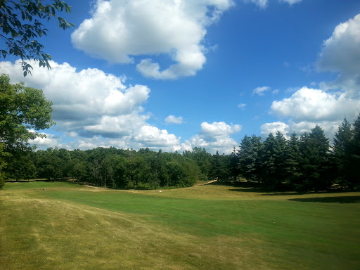 Golf Course «Pine Hills Golf Course», reviews and photos, 6603 Woodbury Rd, Laingsburg, MI 48848, USA