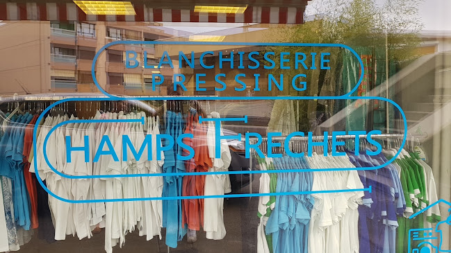 Rezensionen über Blanchisserie Des Champs Frechets in Vernier - Wäscherei