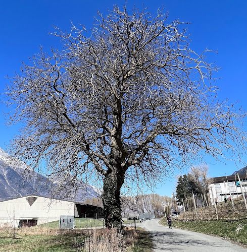 Rezensionen über Stand de Tir 25, 50 et 300m in Martigny - Sportstätte