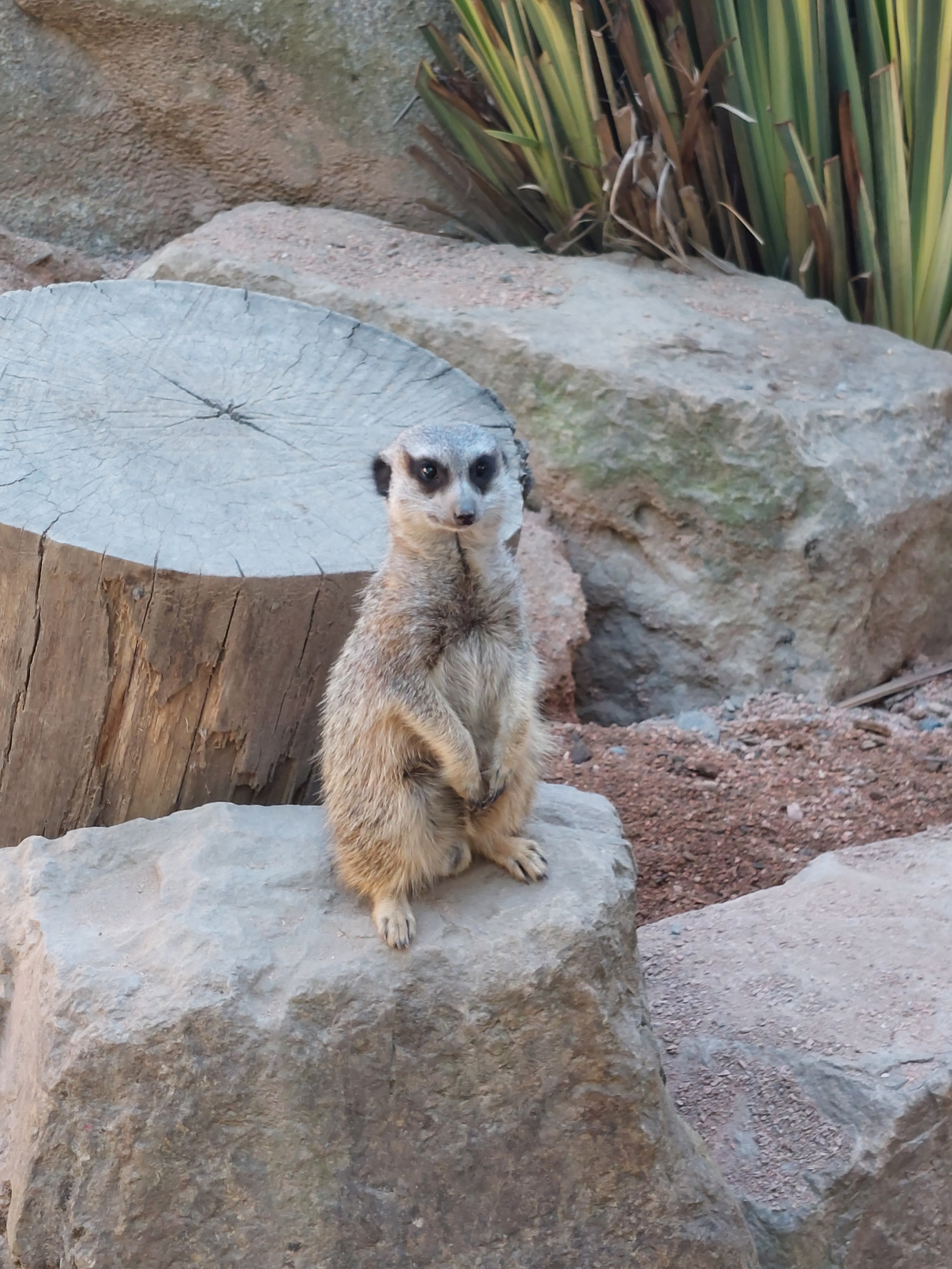 Photo n° 2 de l'avis de Tof.6 fait le 09/08/2023 à 12:26