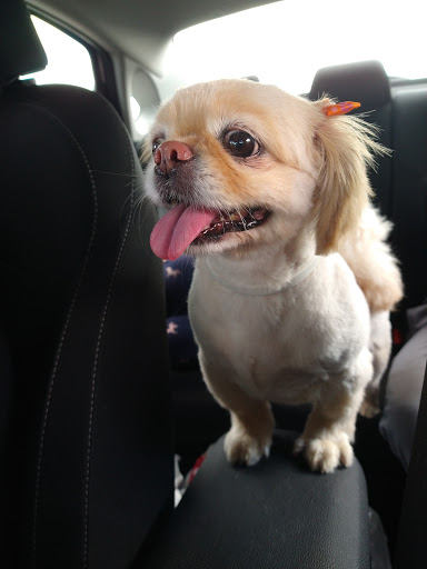 Pet Supply Store «Pet Supplies Plus», reviews and photos, 319 Massachusetts Ave, Lunenburg, MA 01462, USA