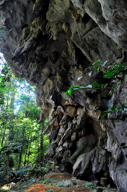 อุทยานแห่งชาติถ้ำสะเกิน Tham Sa Koen National Park