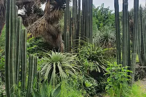 UNAM Botanical Garden image