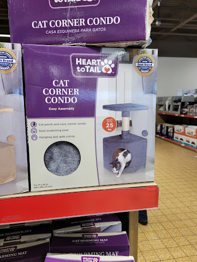 Supermarket «ALDI», reviews and photos, 375 W Higgins Rd, Hoffman Estates, IL 60169, USA