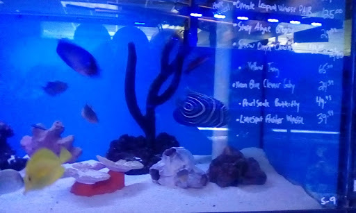 Pet Store «Ark Pet Shop», reviews and photos, 2400 W Lincoln Hwy, Merrillville, IN 46410, USA