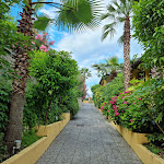 Photo n°10 de l'avis de Steffen.r fait le 04/07/2023 à 10:45 sur le  Primavera à Lido di Manerba