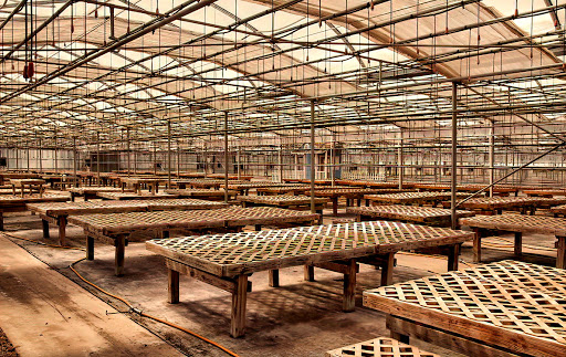 Florist «Key Blooms Inc Retail», reviews and photos, 11034 S Sprinkle Rd, Vicksburg, MI 49097, USA