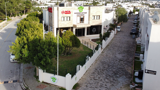 Bodrum Hayvan Hastanesi