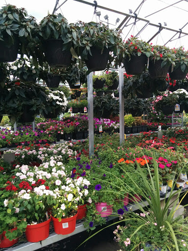 Home Improvement Store «The Home Depot», reviews and photos, 530 Turnpike Rd, Shrewsbury, MA 01545, USA