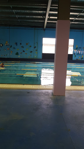 Vicki Field Swim School