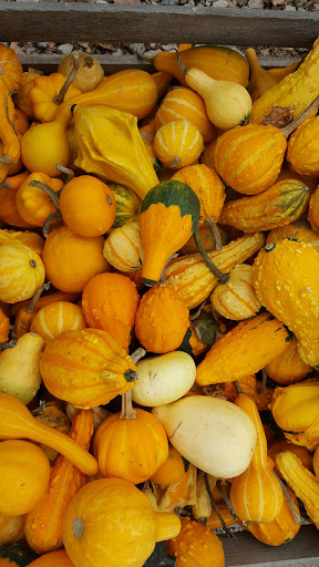 Farm «Houlden Farms», reviews and photos, 139 Old Westboro Rd, North Grafton, MA 01536, USA