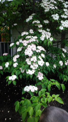 Nature Preserve «Beechwood Farms Nature Reserve», reviews and photos, 614 Dorseyville Rd, Pittsburgh, PA 15238, USA