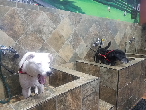 Pet Store «Pet Valu», reviews and photos, 404 E High St, Carlisle, PA 17013, USA